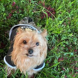 Meet your Posher, Chanel